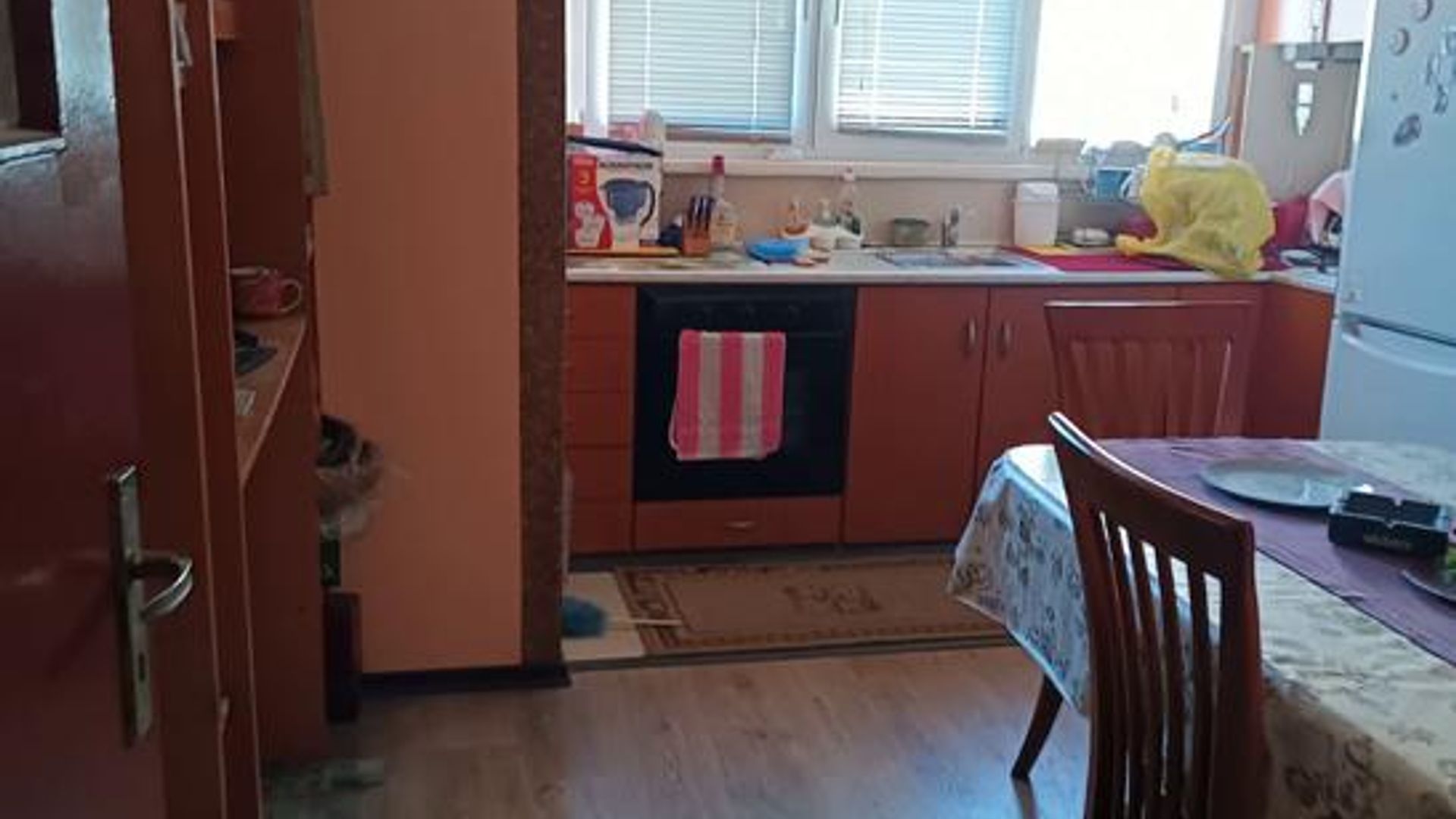 image_1744728548402_5861292534185696.jpeg