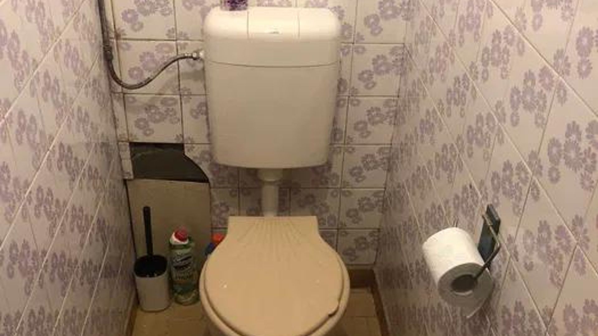 image_1743666911207_3279645930063504.jpeg