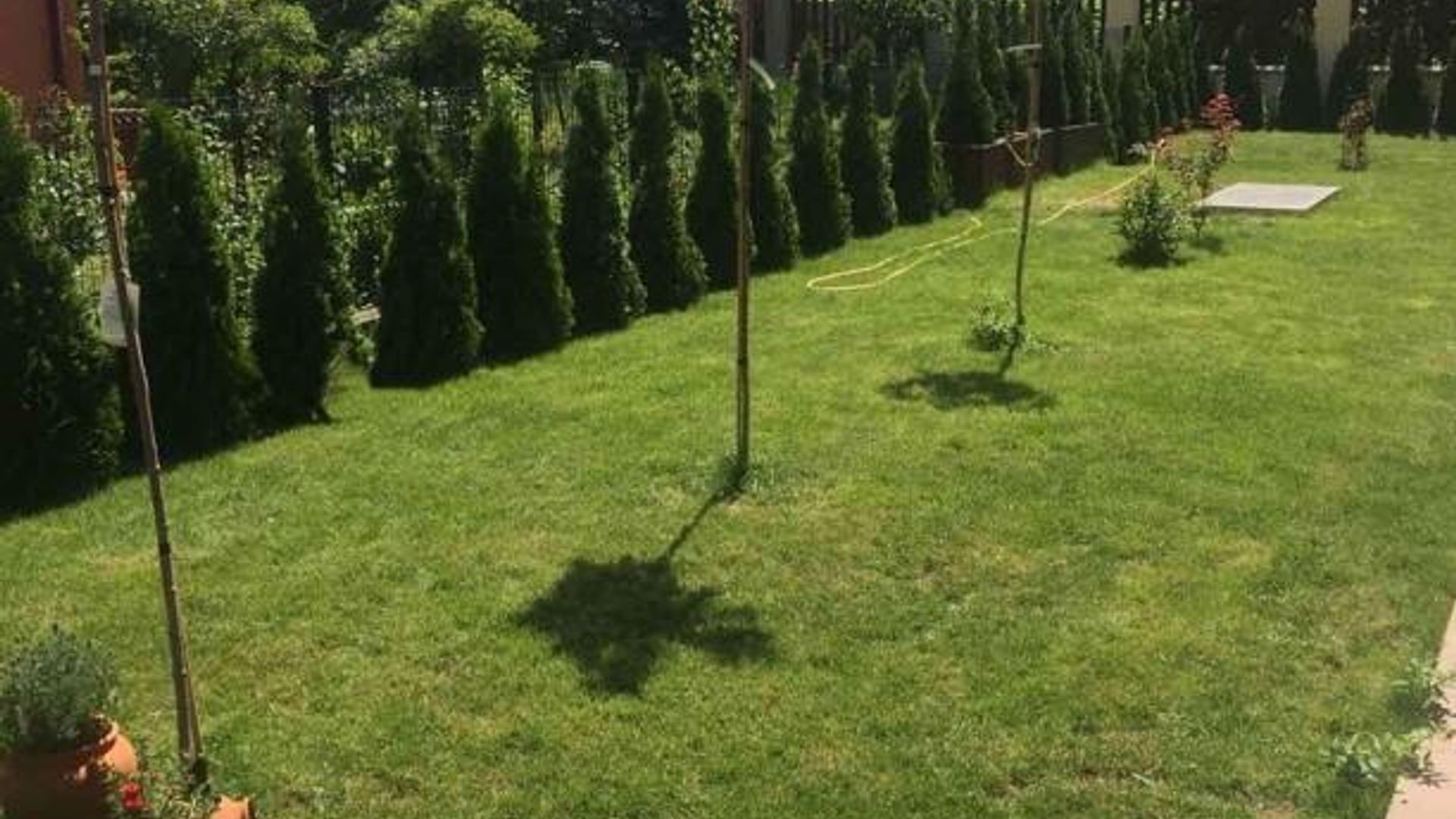 image_1743781261334_5353964617927727.jpeg