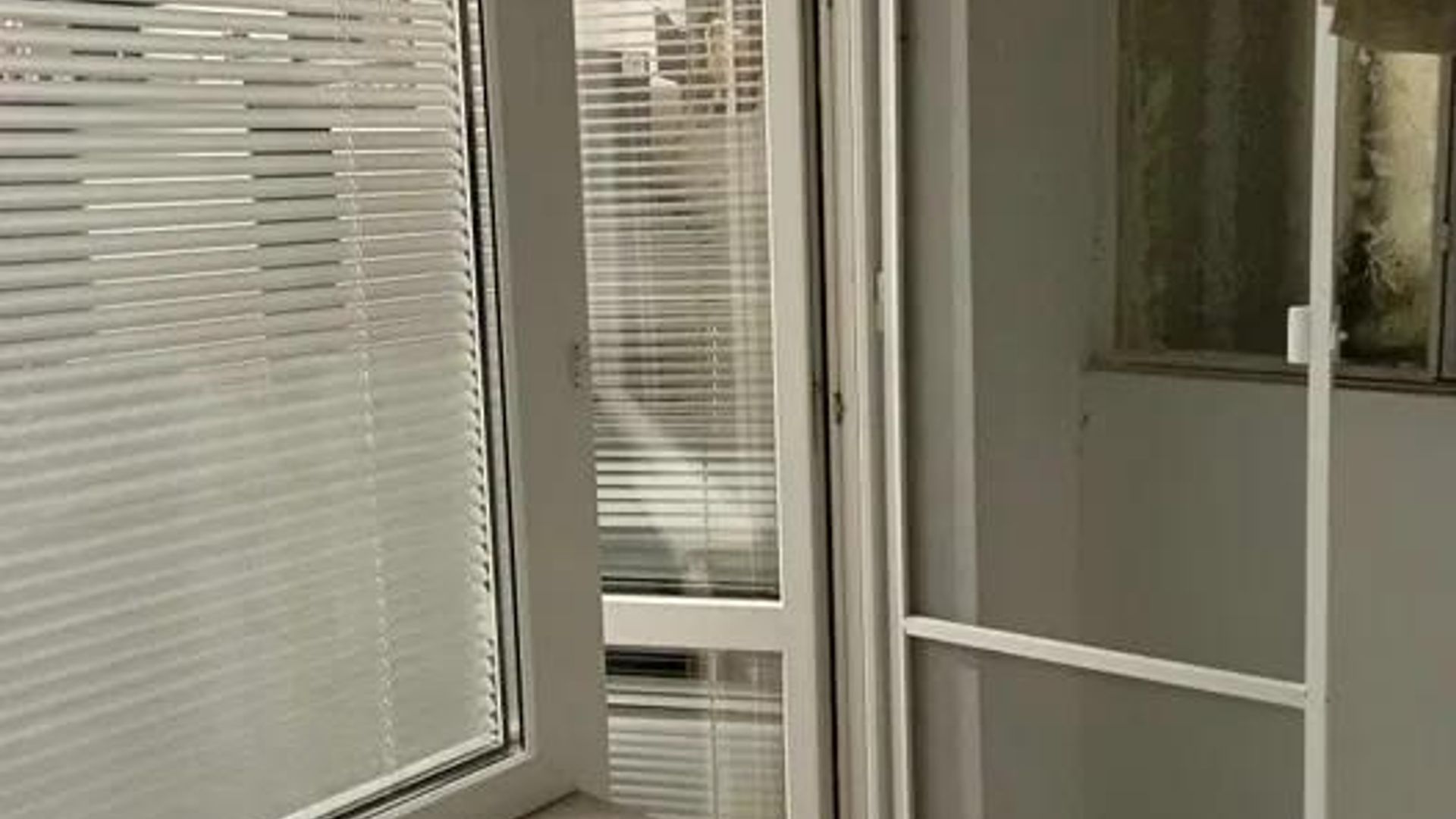 image_1747126186403_3672199816917827.jpeg
