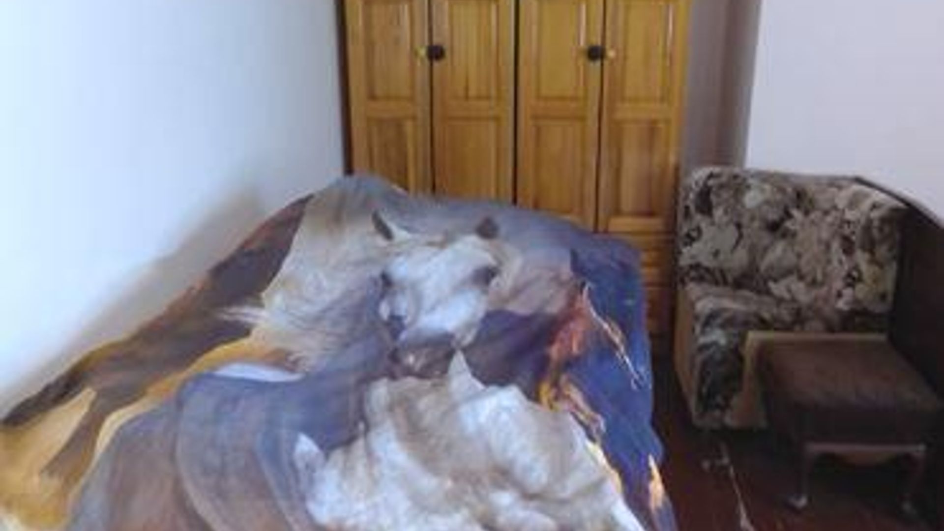 image_1744895926763_8491173899570987.jpeg
