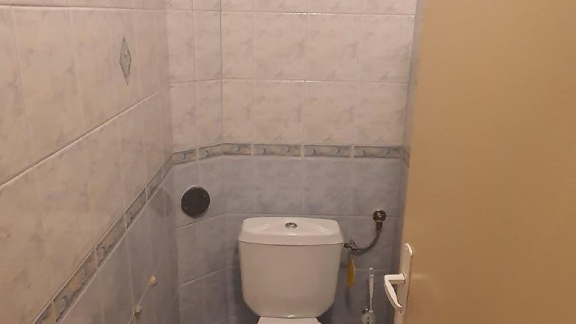 image_1743241396373_37783289457582225.jpeg