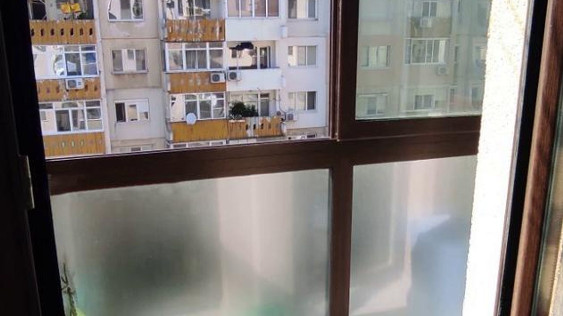 image_1746782212796_5489437295054735.jpeg
