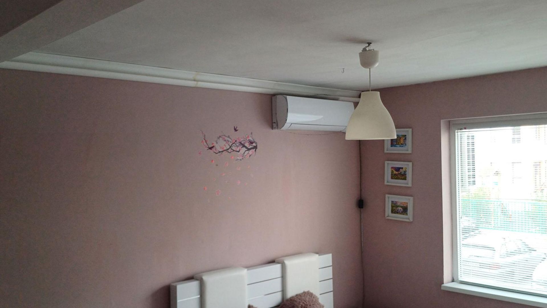 image_1744878846084_18586766671024346.jpeg