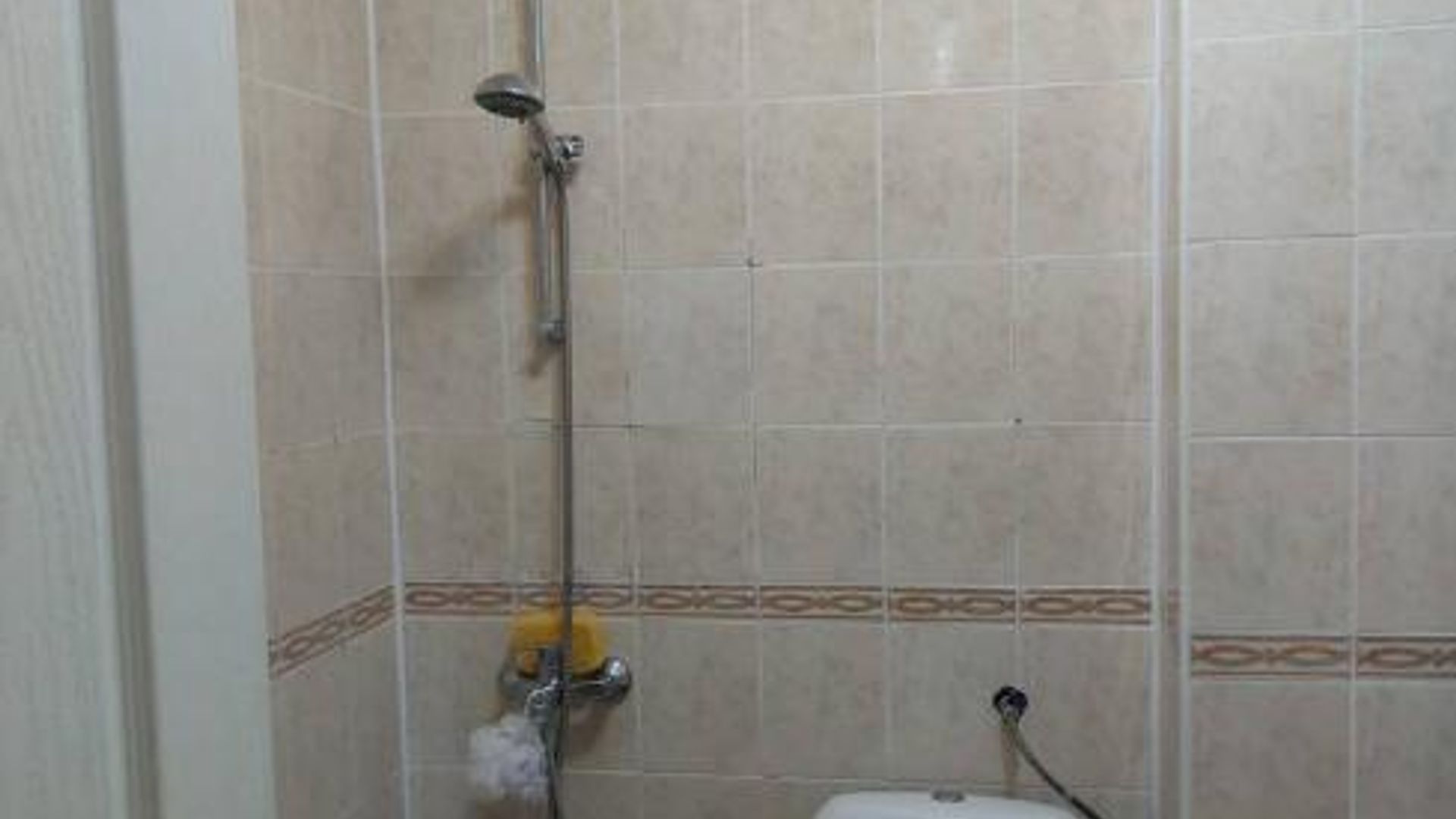image_1744099269301_273385331947523.jpeg