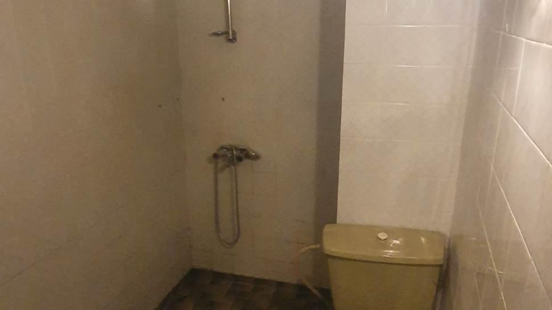 image_1746775277274_6385779975560022.jpeg