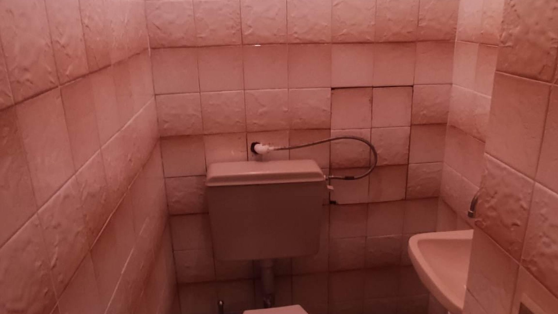 image_1744701243209_24492006511272435.jpeg