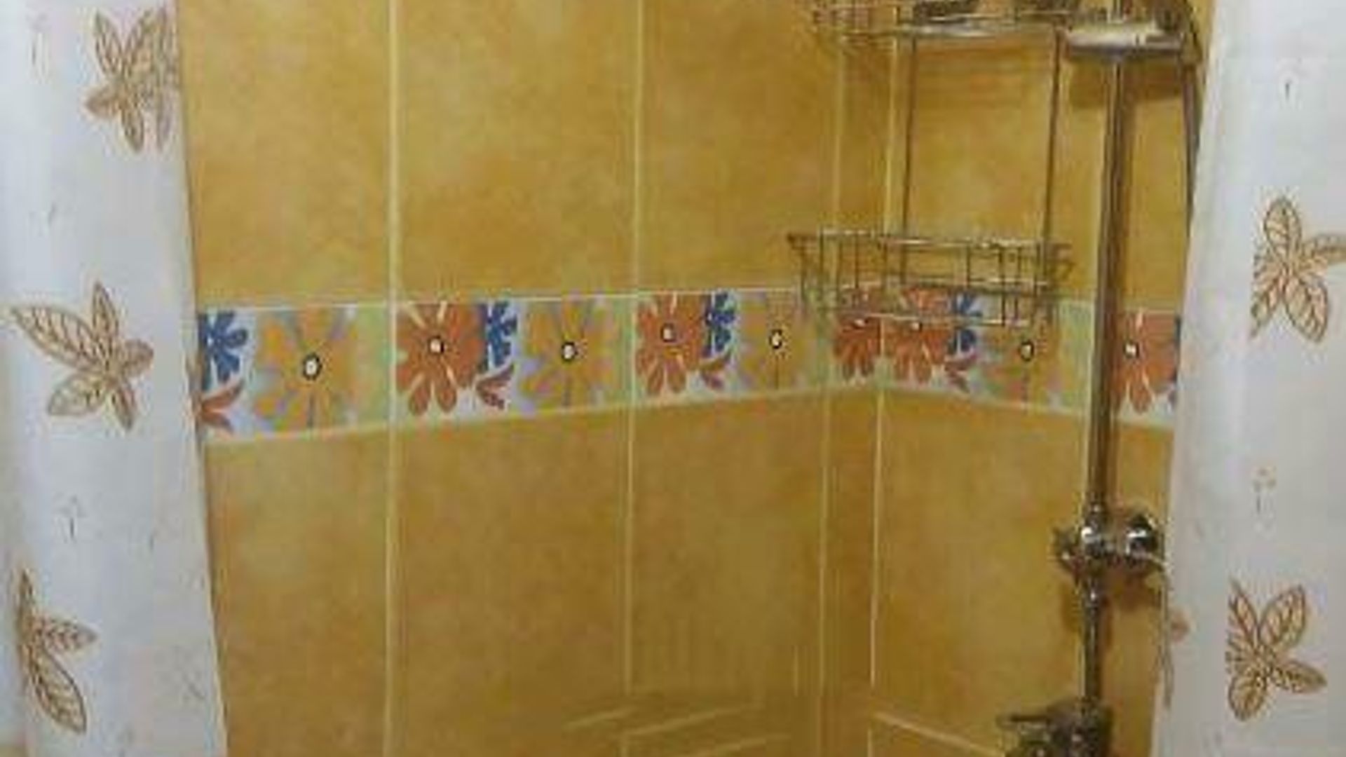image_1740649445543_04442248988731512.jpeg
