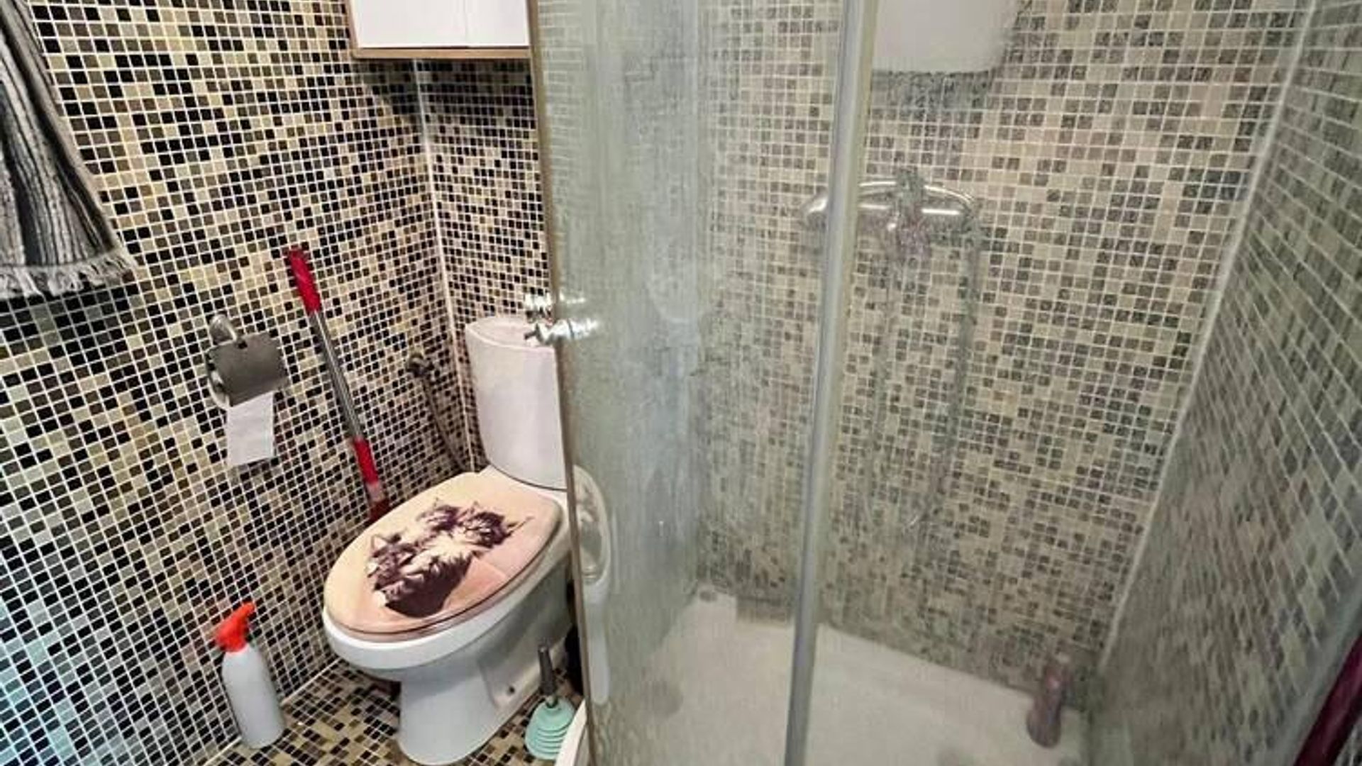 image_1743082106825_12967279952552913.jpeg