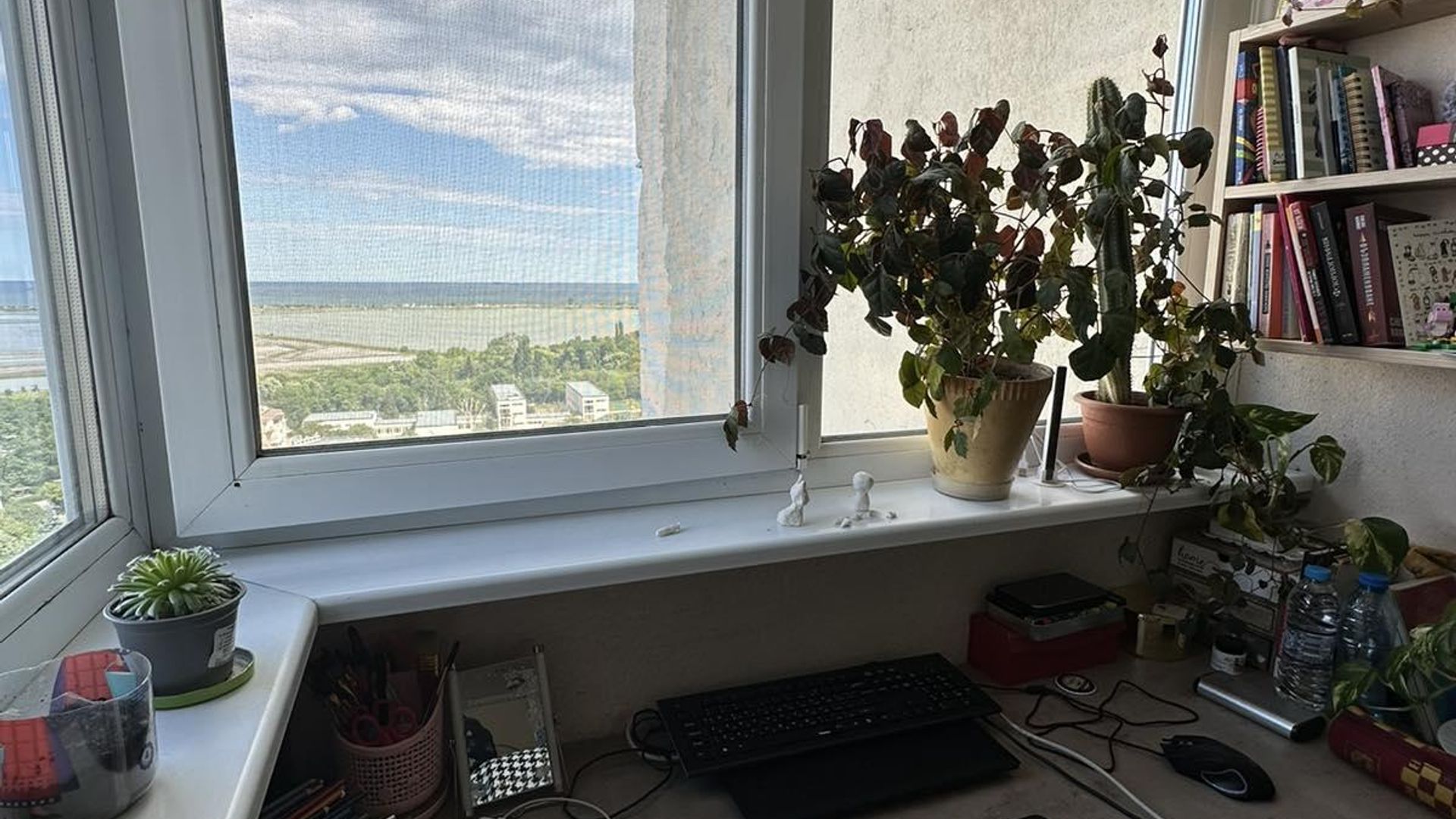 image_1741856974926_3670515538521488.jpeg