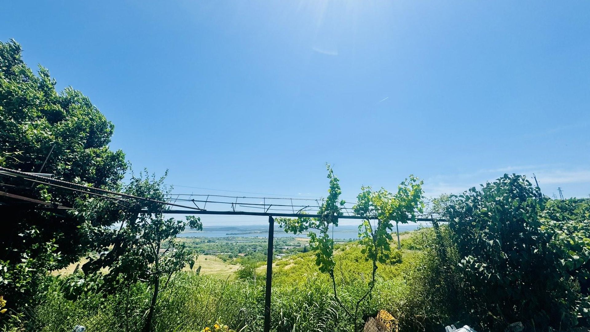 image_1737707681542_5040253492055968.jpeg
