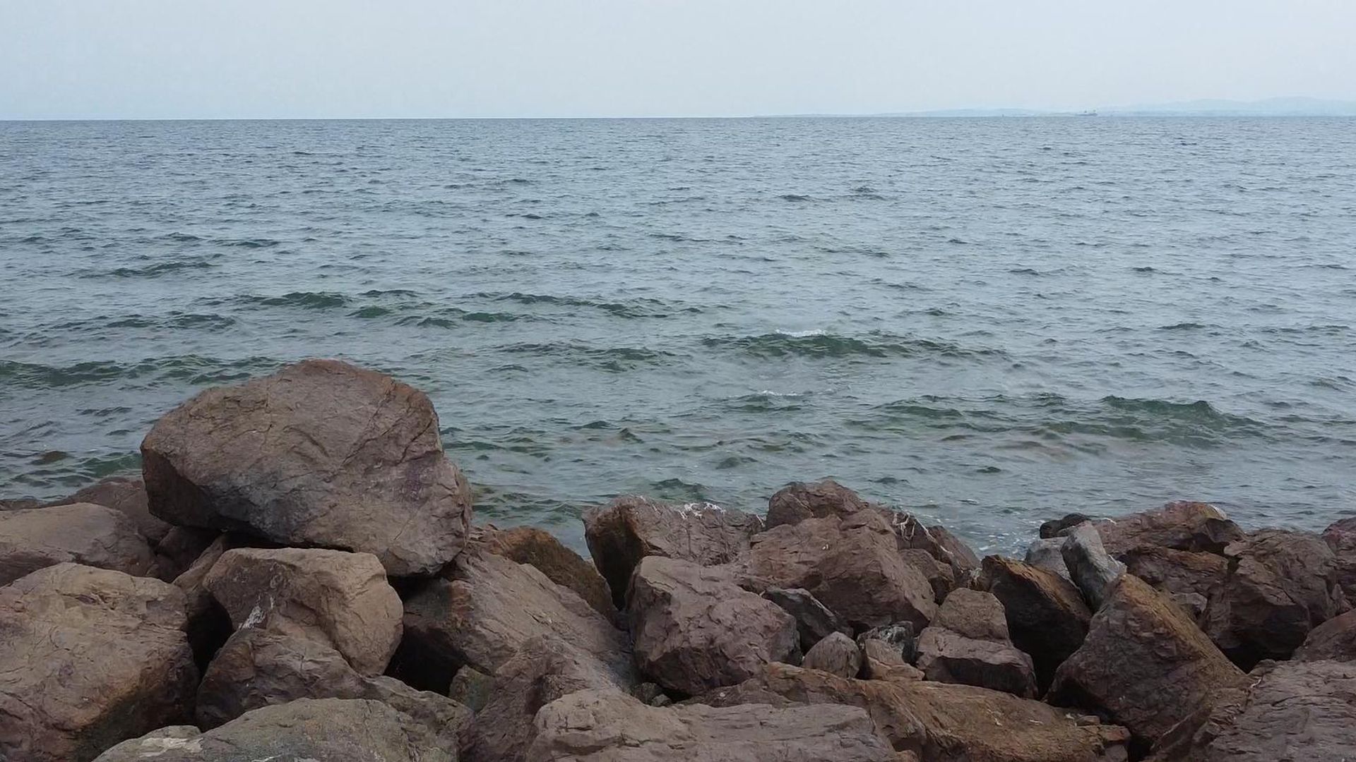 image_1737707676235_7665004689271977.jpeg