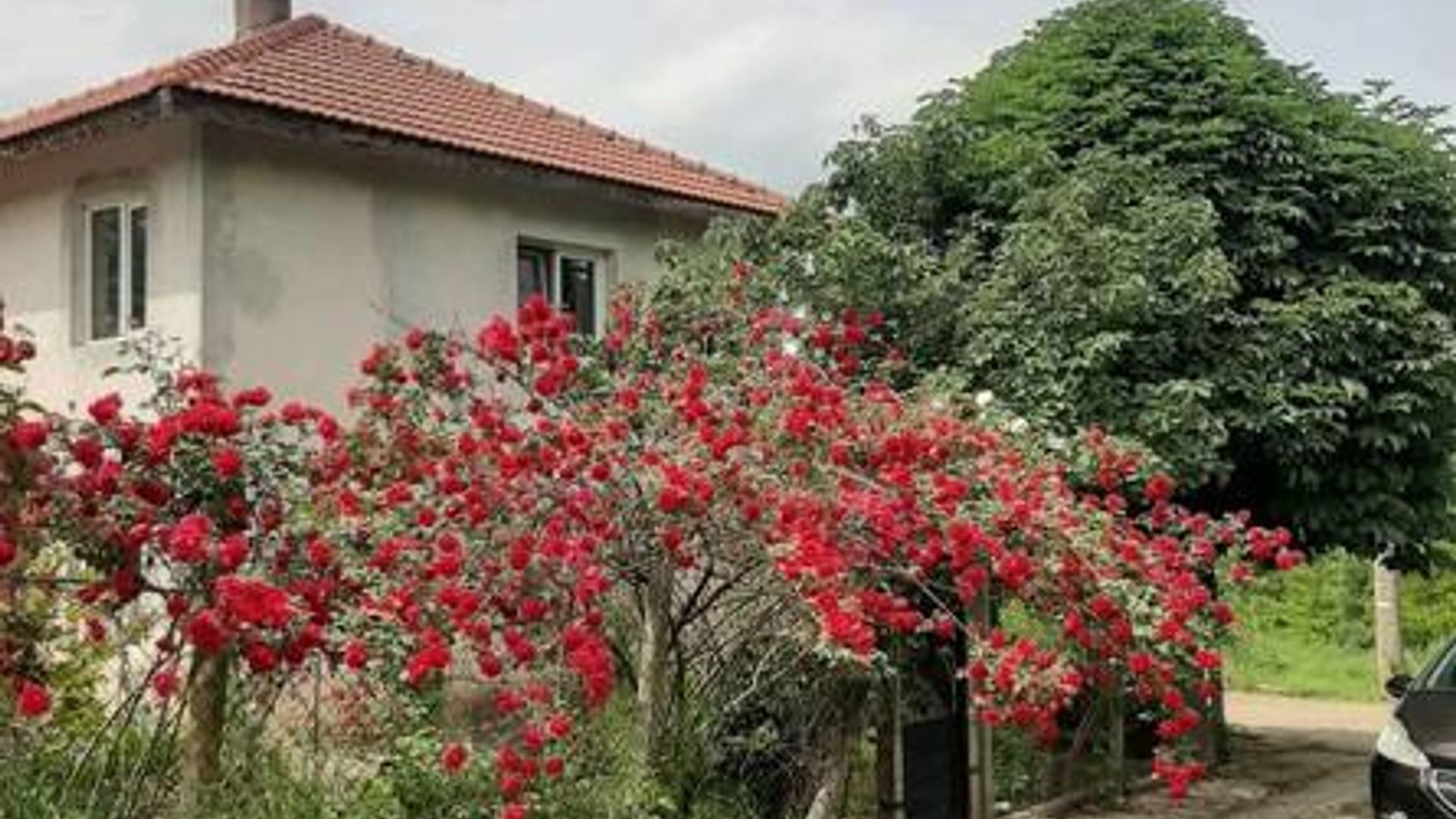 image_1737707858483_9749873762312453.jpeg