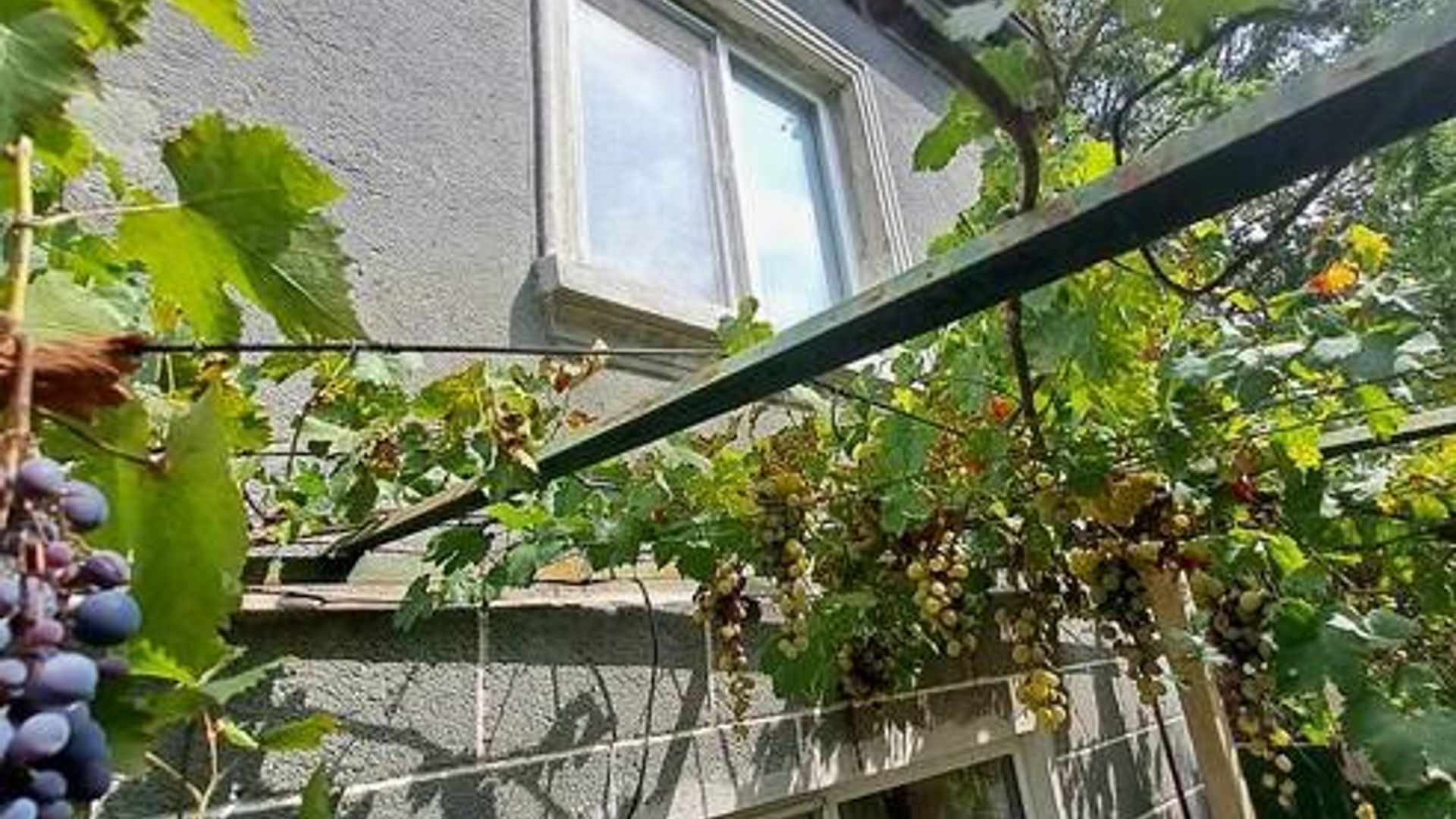 image_1742812078810_914196550765171.jpeg
