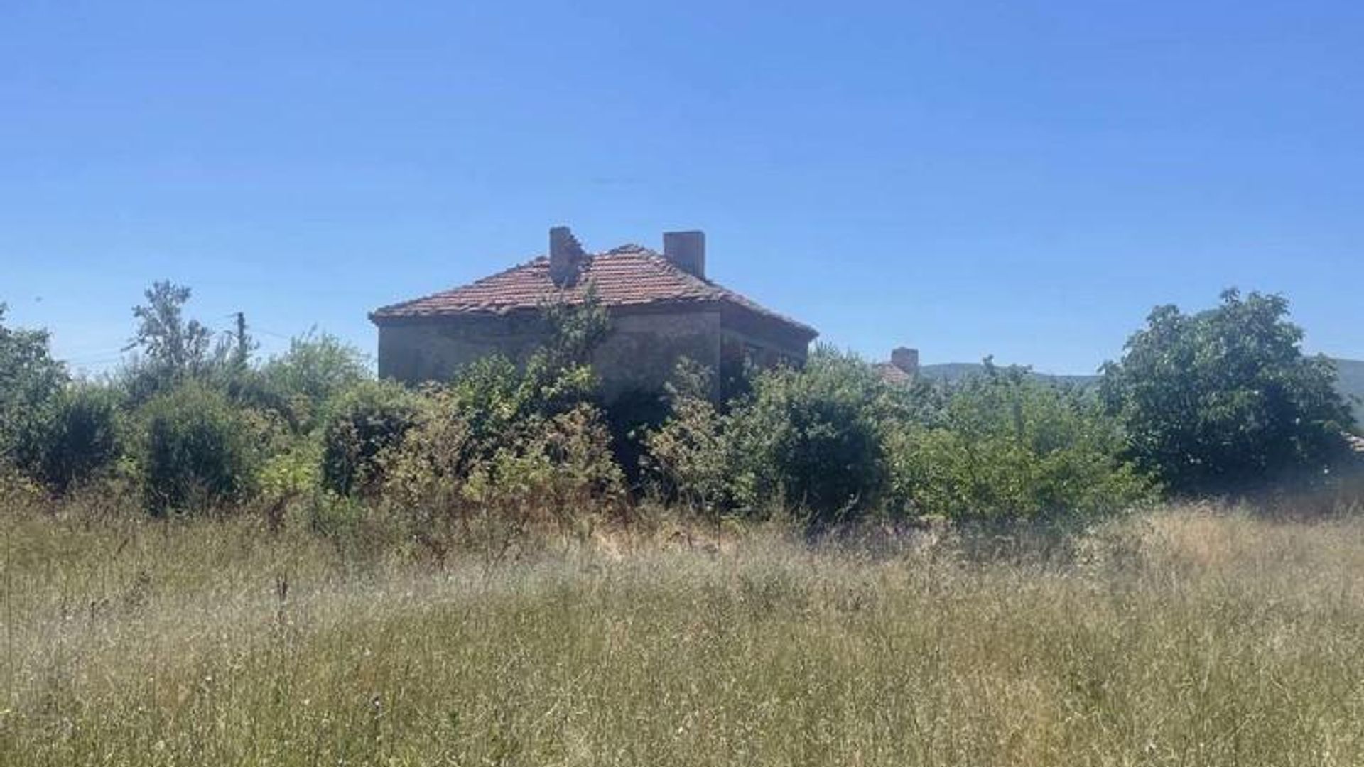 image_1742898410370_8626214018394229.jpeg