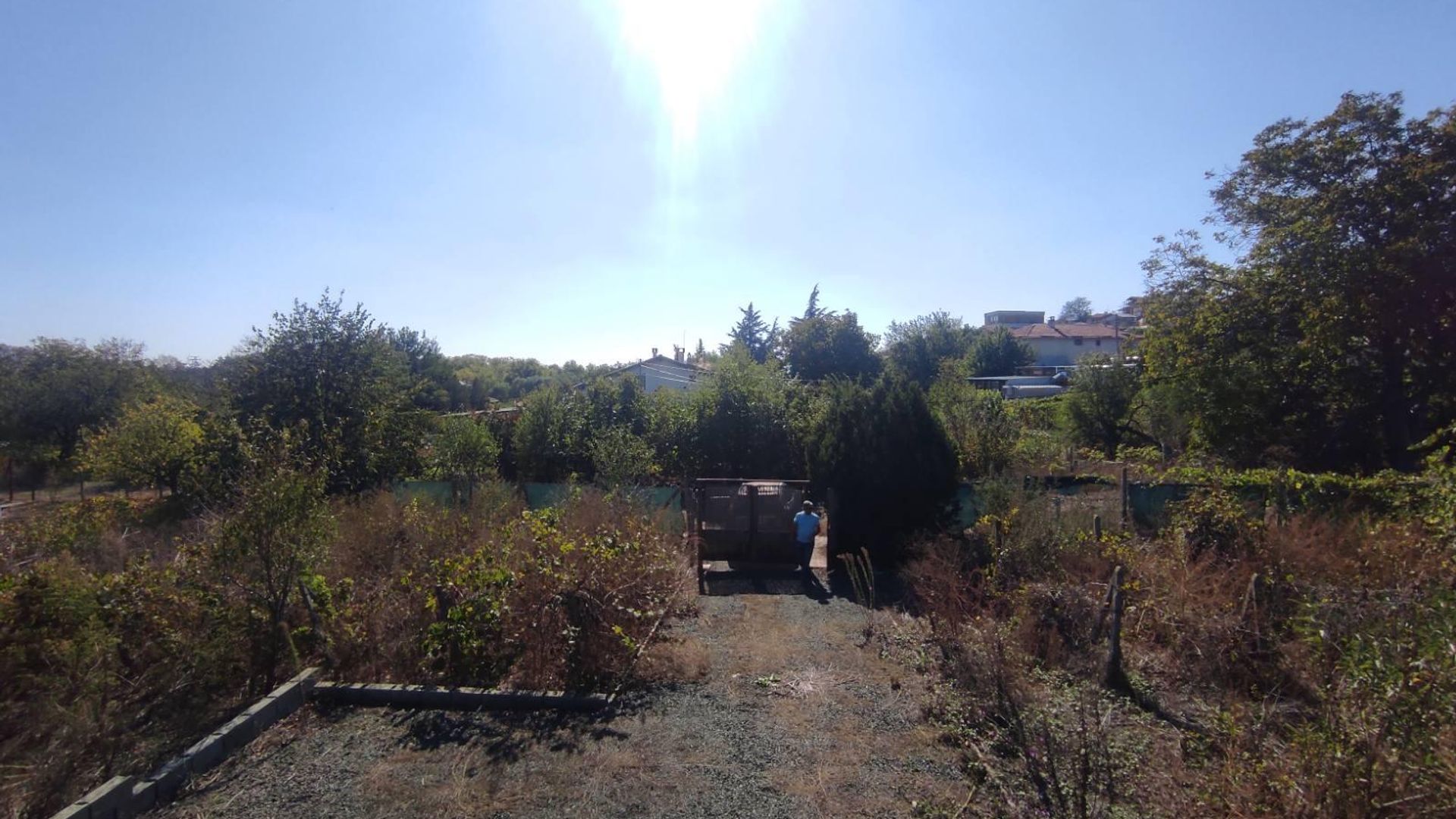 image_1737707992834_9855642566012737.jpeg
