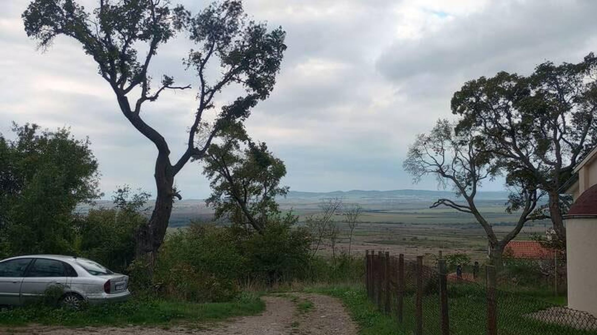 image_1742895913025_673307959395065.jpeg