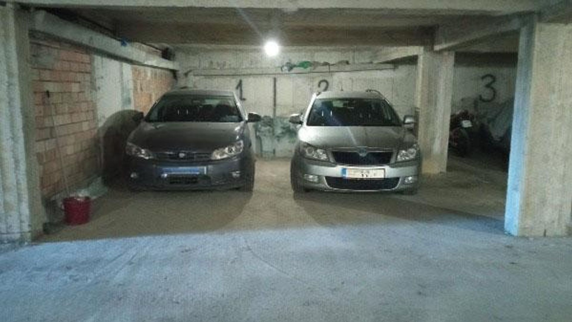 image_1737708231576_1387350445282729.jpeg