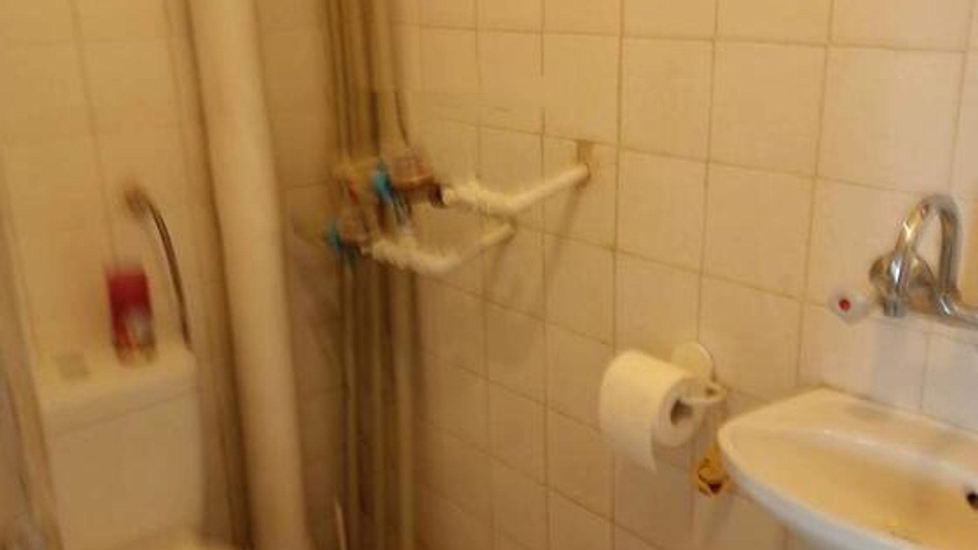 image_1744355656829_9651265524023984.jpeg