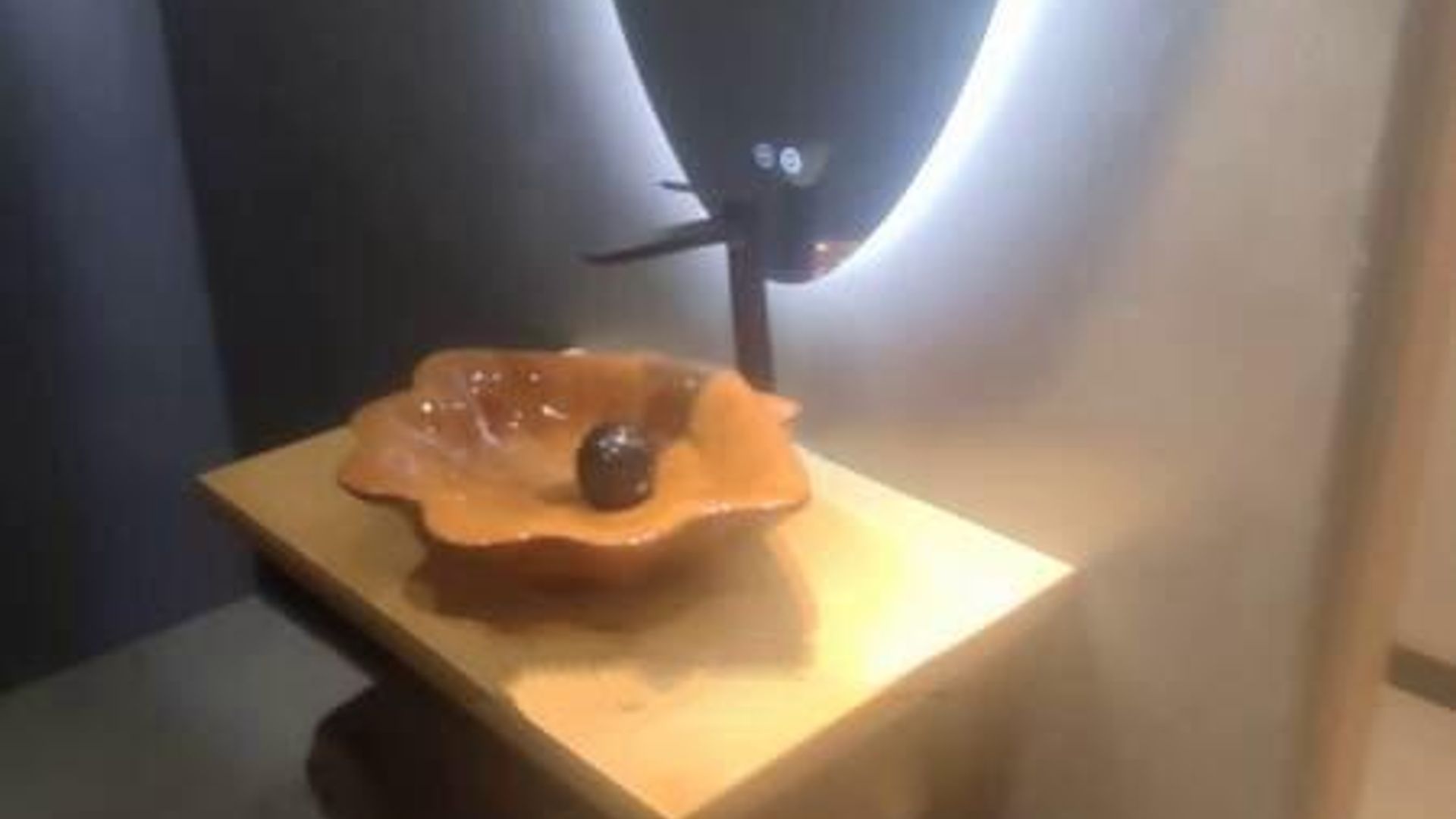 image_1744294257252_027177060793087904.jpeg