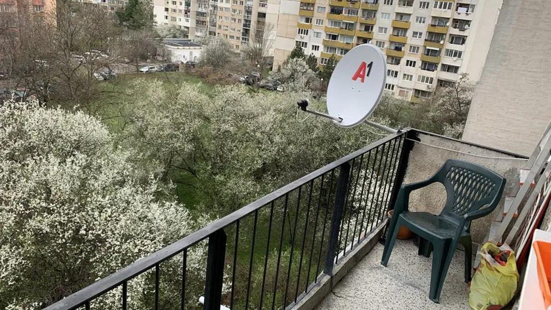 image_1742467232165_7064779611954208.jpeg
