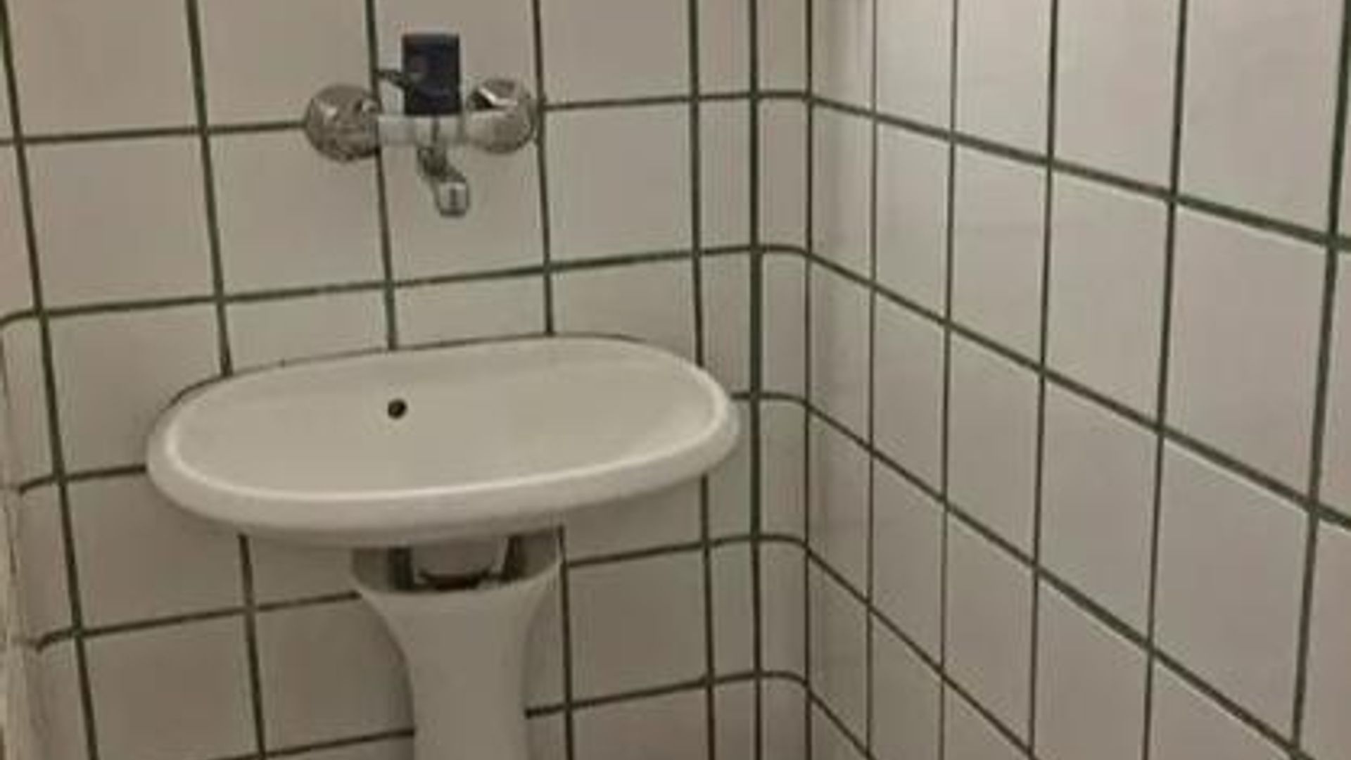 image_1745839031528_8061239448901327.jpeg
