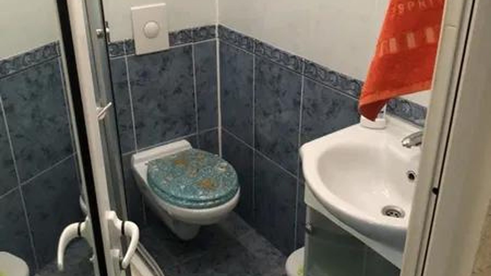 image_1743662444596_9496628891017806.jpeg