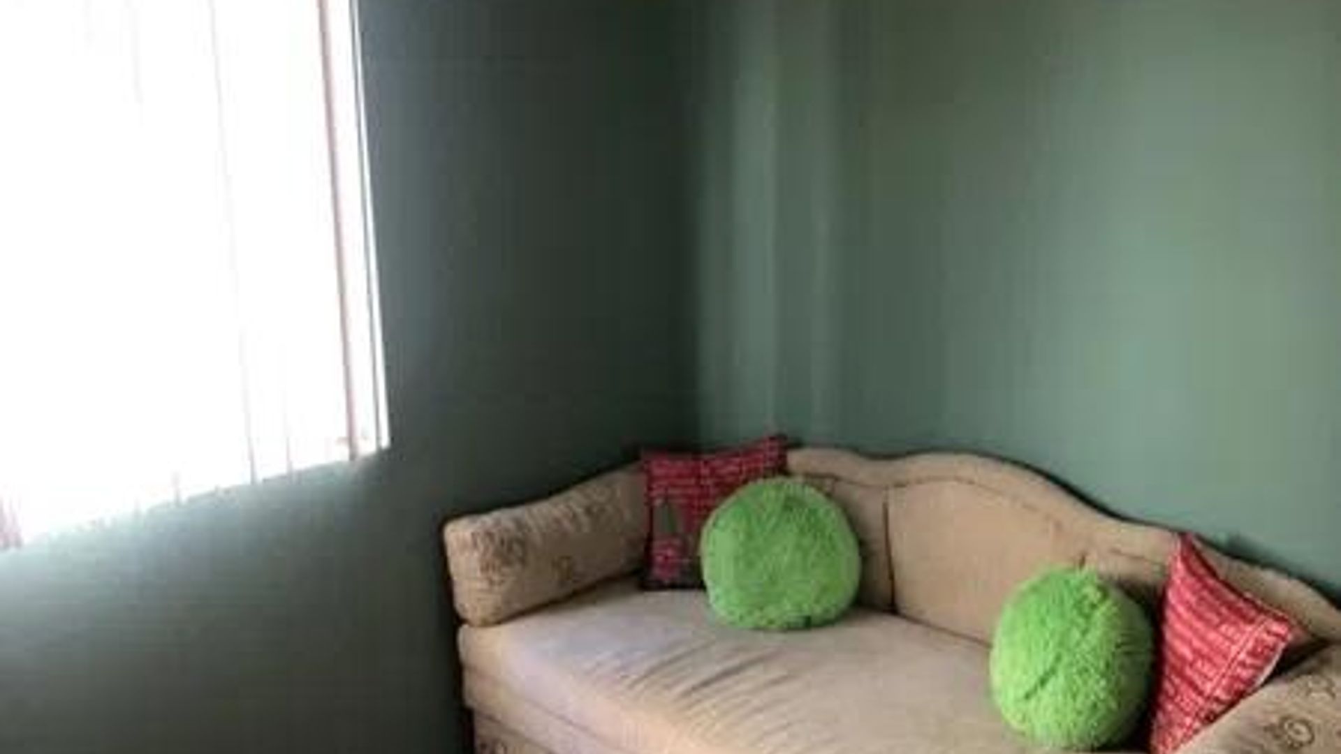 image_1743662444597_9026583299225803.jpeg