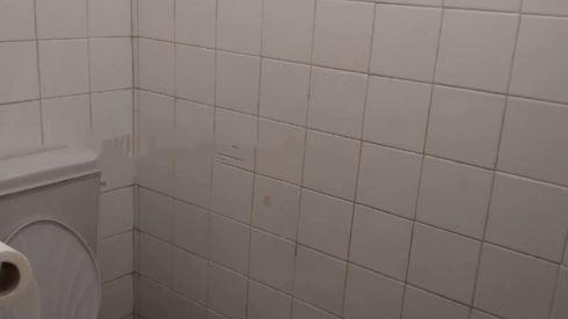 image_1742295572338_5797570903954987.jpeg